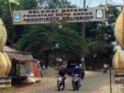 Agrowisata Belimbing Dewa Depok, Wisata Edukasi yang Menarik Agrowisata-Belimbing-Dewa-Depok-Wisata-Edukasi-yang-Menarik.jpg