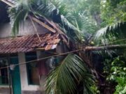 Akibat Hujan Deras, Tanah Longsor dan Pohon Tumbang Landa Cigugur Pangandaran Akibat-Hujan-Deras-Tanah-Longsor-dan-Pohon-Tumbang-Landa-Cigugur-Pangandaran.jpg