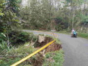 Bahu Jalan Cigugur Langkaplancar Pangandaran Longsor, Pengguna Jalan Mesti Waspada Bahu-Jalan-Cigugur-Langkaplancar-Pangandaran-Longsor-Pengguna-Jalan-Mesti-Waspada.jpg