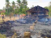 Diduga Bakar Sampah Sembarangan, Kandang Ayam di Sukamukti Ciamis Nyaris Habis Terbakar Diduga-Bakar-Sampah-Sembarangan-Kandang-Ayam-di-Sukamukti-Ciamis-Nyaris-Habis-Terbakar.jpg