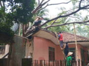 Hujan Pertama usai Kemarau, Pohon Petai Tumbang Timpa Rumah di Banjaranyar Ciamis Hujan.jpg