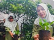 Atasi Potensi Stunting, KWT di Cimahi Inovasi Olah Makanan Berbahan Pakcoy KWT-Safa-Marwah-Cimahi.jpg