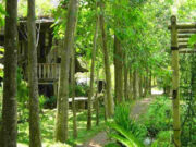 Kampung 99 Pepohonan, Wisata Edukasi yang Sejuk di Depok Kampung-99-Pepohonan-Wisata-Edukasi-yang-Sejuk-di-Depok.jpg