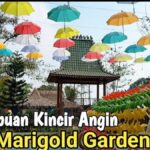 New-Marigold-Garden-di-Karawang-Sebagai-Destinasi-Alam-Buatan.jpg