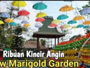 New Marigold Garden di Karawang, Destinasi Alam Buatan yang Mempesona New-Marigold-Garden-di-Karawang-Sebagai-Destinasi-Alam-Buatan.jpg