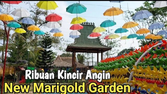 New-Marigold-Garden-di-Karawang-Sebagai-Destinasi-Alam-Buatan.jpg