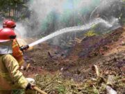 Limbah Pabrik Kayu di Ciamis Terbakar, Diduga Akibat Puntung Rokok Pabrik-Kayu-Terbakar.jpg