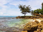 Pesona Alam Pantai Carita Pandeglang, Tawarkan Kegembiraan Tanpa Batas Pantai-Carita-Pandeglang.jpg