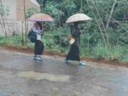 Puskesmas Langkaplancar Pangandaran Ingatkan Masyarakat Waspada Penyakit di Musim Hujan Penyakit-di-musim-hujan.jpg