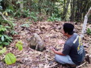 Kisah Dalem Raditia Sakti di Kota Banjar, Keturunan Kerajaan Galuh yang Kalah Berperang Petilasan.jpg