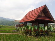 Saung Jembar Cihaurbeuti Ciamis, Destinasi Kuliner yang Ramah Anak Saung-Jembar-Cihaurbeuti-Ciamis.jpg