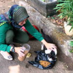 Street-feeding.jpg