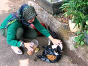 Mengenal Nurhayati, Sosok Pegiat Street Feeding Kucing Jalanan di Ciamis Street-feeding.jpg