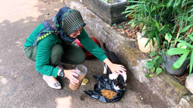 Street-feeding.jpg