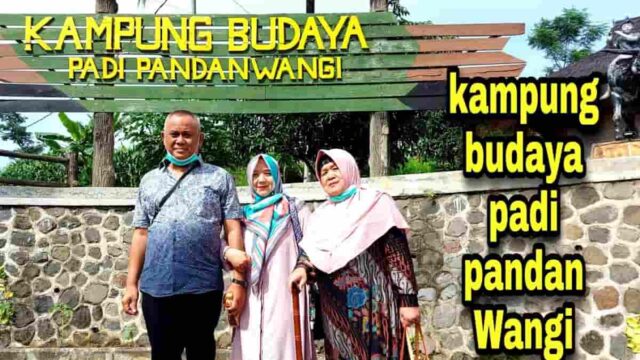 Wisata-Kampung-Budaya-Padi-Pandanwangi-Cocok-untuk-Keluarga-3.jpg