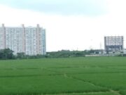17.970 Hektare Sawah di Purwakarta Tidak Bisa Dialihfungsikan areal-sawah.jpg