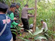 Warga Indragiri Ciamis Temukan Tengkorak Manusia di Kebun saat Tebang Pohon penemuan-tengkorak-manusia.jpeg