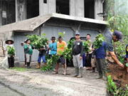 Antisipasi Kekeringan dan Longsor, Warga dan Pemdes di Pangandaran Ini Tanam Pohon Picung Antisipasi-Kekeringan.jpg