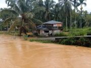 Banjir dan Tanah Longsor Kembali Terjang Kabupaten Lima Puluh Kota di Sumatera Barat Banjir-di-Kabupaten-Lima-Puluh-Kota-Sumatera-Barat.jpg