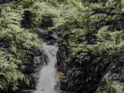 Curug Mariuk Bogor, Ada Camping Ground dan Jasa Guide Curug-Mariuk-Bogor-Ada-Camping-Ground-dan-Jasa-Guide.jpg