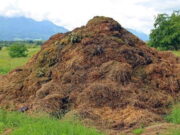 Erick Thohir Sebut, Limbah Pertanian dan Perkebunan Jadi Sumber Energi Bersih Masa Depan Erick-Thohir-Sebut-Limbah-Pertanian-dan-Perkebunan-Jadi-Sumber-Energi-Bersih-Masa-Depan.jpg