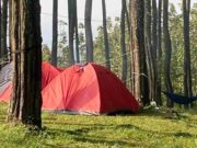 Hutan Pinus Darmacaang Ciamis Pilihan Tepat Liburan Akhir Tahun, Ini Alasannya Hutan-Pinus-Darmacaang-Ciamis-Pilihan-Tepat-Liburan-Akhir-Tahun.jpg