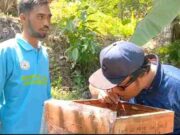 Kampung Madu Banjaranyar Ciamis Jadi Tujuan Wisata saat Libur Panjang Kampung-Madu-Banjaranyar.jpeg