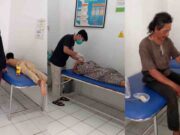 Diserang Lebah Madu Odeng, 7 Warga Ciamis Masuk RSÂ Lebah-Madu-Odeng.jpg