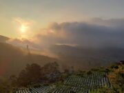 Maha Sky Batu Angkruk, Temukan Keajaiban Sunset di Dieng! Maha-Sky-Batu-Angkruk-Dieng.jpg