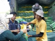 Jaga Stabilitas Harga, Pemkot Bandung Gelar Pasar Murah di 2 Wilayah Operasi-Pasar-Murah-Kota-Bandung.jpg