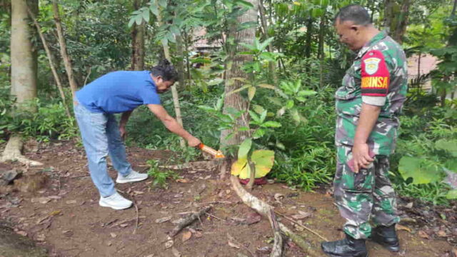 Penemuan-Bayi-di-Muktisari-Ciamis.jpeg