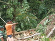 Terpeleset Lalu Jatuh ke Sungai, Pria Garut Tewas saat Tebang Pohon Pria-Asal-Garut-Tewas.jpg