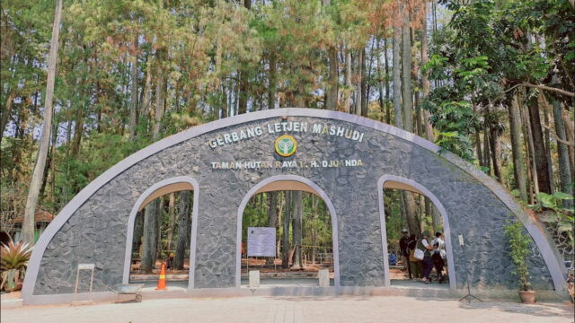 Taman-Hutan-Raya-Djuanda-Wisata-Populer-di-Kota-Bandung.jpg