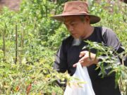 10 Tahun Terakhir Usaha Pertanian di Jawa Barat Turun 8,97 Persen, Didominasi Unit Ini! Wakil-Ketua-Komisi-B-DPRD-Kabupaten-Bandung-Osin-Permana.jpg