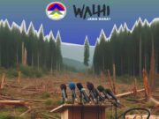 Walhi : Luas Lahan Hutan di Jawa Barat Terus Berkurang Walhi-Jawa-Barat-Kerusakan-Hutan.jpg