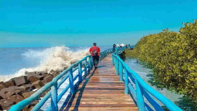 Wisata-Pantai-Rembat-Indramayu-sebagai-Ekowisata-Mangrove.jpg