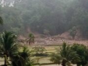 Bencana Tanah Longsor di Subang, Satu Warga Meninggal Dunia Bencana-Tanah-Longsor-di-Subang-Satu-Warga-Meninggal-Dunia.jpg