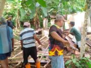 Dapur Rumah Nenek 71 Tahun di Ciamis Ambruk Diterjang Hujan Dapur-Rumah-Nenek-71-Tahun-di-Ciamis-Ambruk-Diterjang-Hujan.jpg