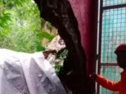 Pergeseran Tanah, Tembok Rumah dan Benteng Sekolah di Cimahi Roboh Dinding-Rumah-Jebol.jpg