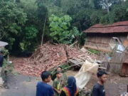 Akibat Lapuk, Kandang Ayam di Ciakar Ciamis Ambruk saat Hujan Deras Kandang-Ayam-Ambruk.jpg