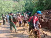 Tebing Setinggi 17 Meter di Tasikmalaya Longsor, Tutup Jalan antar Desa Longsor-Tutup-Jalan-Antar-Desa.jpg