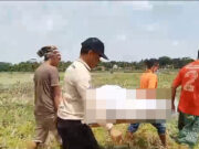 Geger, Mayat Perempuan Membusuk di Saung Sawah di Mangunjaya Pangandaran Mayat-Perempuan-Membusuk-di-Saung-Sawah-di-Mangunjaya-Pangandaran.jpg