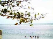 6 Wisatawan Digulung Gelombang Pantai Cipatujah Tasikmalaya Pantai.jpg