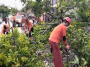 Pohon Tumbang Tutup Sebagian Jalan Nasional di Kota Banjar Pohon-Tumbang-dan-Tutup-Sebagian-Jalan-Nasional-di-Kota-Banjar.jpg
