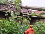 Hujan dan Angin Kencang di Kota Banjar, 1 Rumah Tertimpa Pohon Tumbang Rumah.jpg