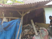 Diguyur Hujan Deras, Rumah Edoh di Ciamis Ambruk Rumah-Edoh-di-Ciamis-Ambruk.jpg