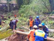 Tebing di Tasikmalaya Longsor Timbun Aliran Sungai hingga Kolam Ikan Tebing-longsor-timbun-sungai.jpeg