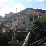 rumah-di-tasikmalaya-tertimpa-pohon.jpg