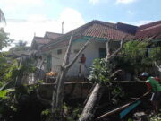 Akibat Angin Kencang, Sebuah Rumah di Tasikmalaya Tertimpa Pohon rumah-di-tasikmalaya-tertimpa-pohon.jpg