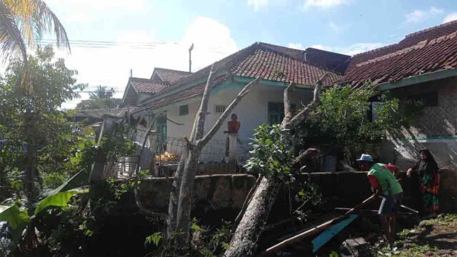 rumah-di-tasikmalaya-tertimpa-pohon.jpg